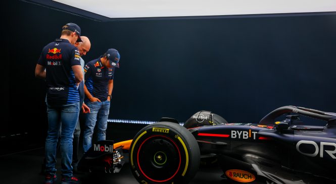 Je Red Bull storil napako z uporabo “Mercedesovih” stranic?