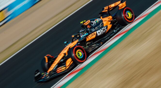 Norris z najhitrejšim časom in McLarnovim dvojčkom, požari trave znova prekinili dogajanje